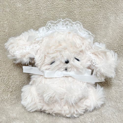 犬界の眠り姫くぅです🤍
ヘッドドレス、似合ってる❔