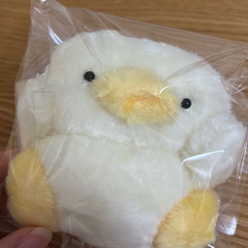 これから発送されるぷるぷる