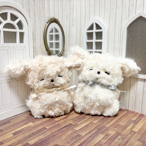 8/8 20:00〜お迎え会します🐶