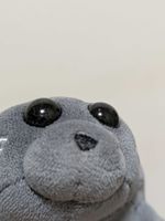 ちいばいかる