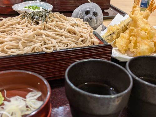 もこたんっ！
おとばがたべほーだえなんでとぅか！？
とぅご！