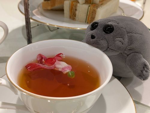 もこたんっ！
おこうてぃぁにおはながうえておとぅら！とぅご！