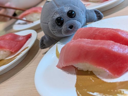 もこたんっ！
こ、これは！！まぐろだなくて、てゅうとろでとぅか！？
とぅご！