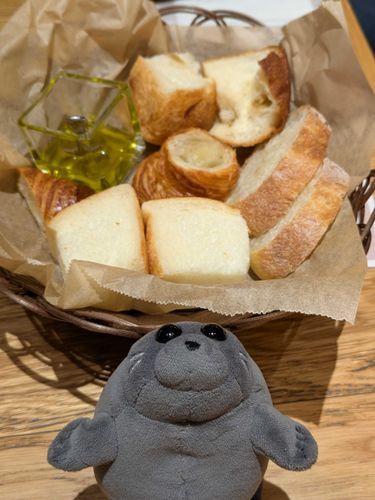 もこたんっ！
このぱんどえでもたべほうだえなんでとぅか！
とぅご！