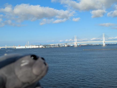 もこたんっ！
おこはまべえぶりっでぃのちたをくぐるんでとぅかっ？
とぅご！