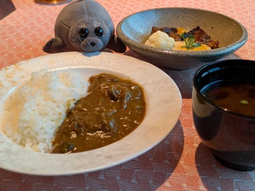 もこたんっ！
まだふなおいでとぅか？
かれーもおいてとぅでとぅ！
とぅご！