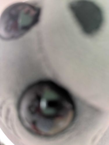 こえがかめあってやつでとぅか、、？（小声）