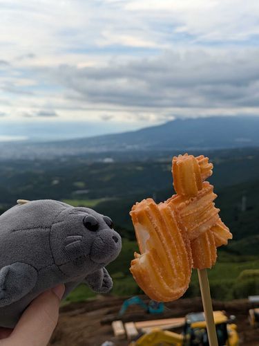 もこたんっ！
でゅっこくとーえでたべうとーえてゅおとぅ、うまっ！
とぅご！