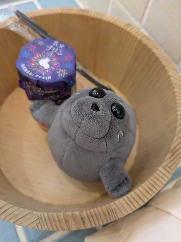 もこたんっ！
はなえのへげんてぇのあためぷえん、にゅうたんけんのあでぃがてぃまとぅ。
とぅご！
