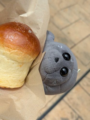 あためばたーあん
とぅご！