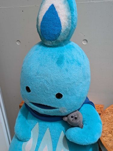 ぷかたん、がとぅってなんでとぅか？？