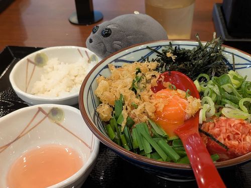 おぅどんにごあんがとぅいてくうんでとぅか？とぅご！