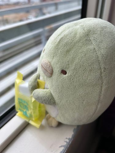 おともだちのむっちゃん
かぜのとき、おくすりかいにいってくれた💊