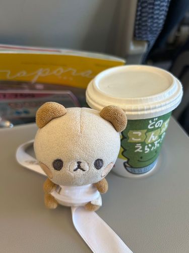 ひとからもらった　でぃおる？のりぼん　まいてみた🎀　
こうきゅう　はらまき🫩🫩