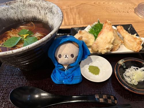 とりてん　いけた☔️😋😋😋
やといぬしの　ところ　かえります🏃‍♀️🏃‍♀️💨

おいしいごはん　さいこー🫪