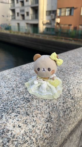 ぷりんせすちぷみの　どれす　かってもらいました👗