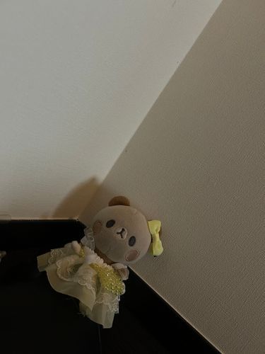 べっぱん　しょぞく　ちぷみ
ひみつだよ