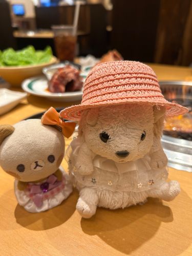ぽよよと　やきにくきんぐ🤩
たべほうだい　たべさせてもらえた😳😳
