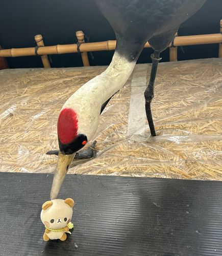 あーーーー‼️あーーー‼️