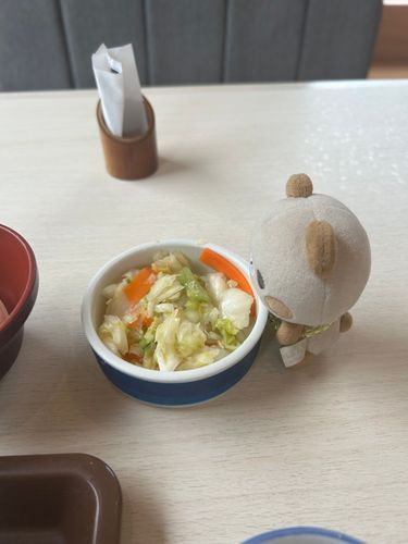 かつやさん　あいてなくて　すきや🐮　おつけもの　ぜんぶくれたけど　すっぱくて　きらい🥲