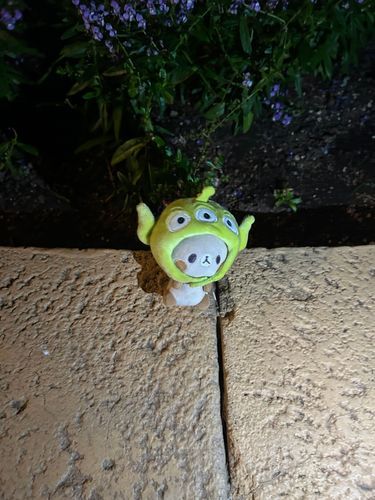 じぶん　かえらないです