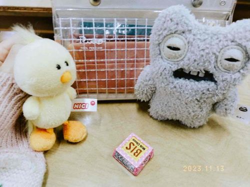 ご主人から送られてきた写真グワ！ひよ三郎とムンチがチロルチョコを奪い合ってるとこらしいグワ
……ってそれ、かものチロルチョコじゃないグワか？！勝手に食べるなグワよ😡😡😡😡