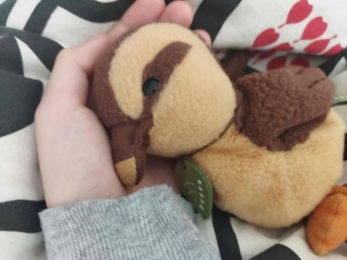 ご主人が帰ってきてからずっと、おなかいたいってねてるグワ
しんぱいグワ、はやくいたくなくなってほしいグワ
ご主人がしんじゃったらどうしようグワ