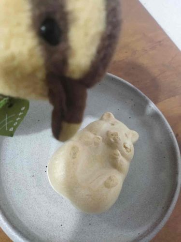 ご主人がおともだちにもらったハムちゃんのもなかグワ！
ほっぺのとこちょっとつついたら割れちゃったグワ💦ご主人が気づいてないうちに全部食べて証拠隠滅グワよ〜！