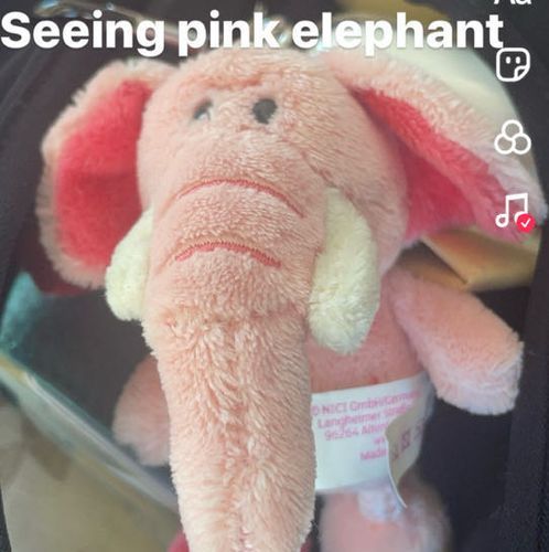 ピンクのゾウのピージーだよ🐘🌸
