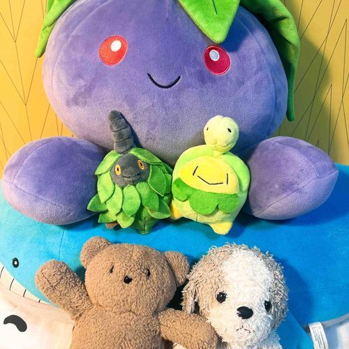 本日 は Pokémon day！
30周年！めでたい！
あと 1分 で ポケモンプレゼンツ が はじまるよ〜！

🦷シンオウ 大好き！♡
ナゾノクサ・ホエルオ〜・スボミ〜・ミノムッチ(くさのみの) の 他 に、ヒコザル・ポッチャマ・ミミロル・パチリス も いる