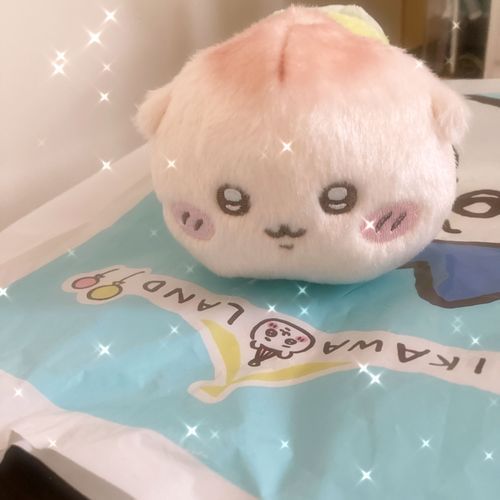 新しくおうちにきたべびちゃん
今日からよろしくね