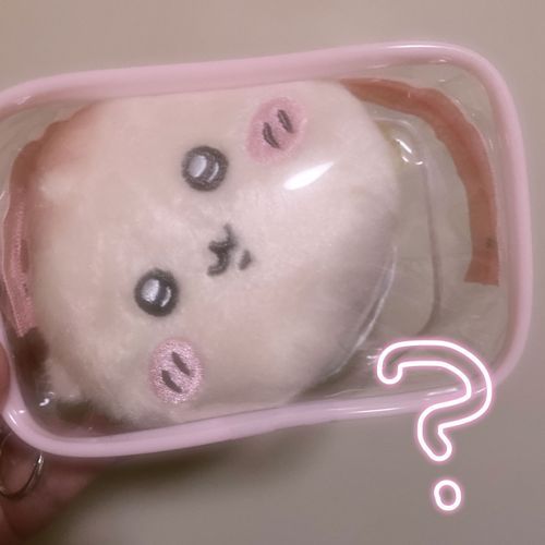 ケースを買ってみたけど、どう入れてもせまそうだね。ぎちぎちだね。