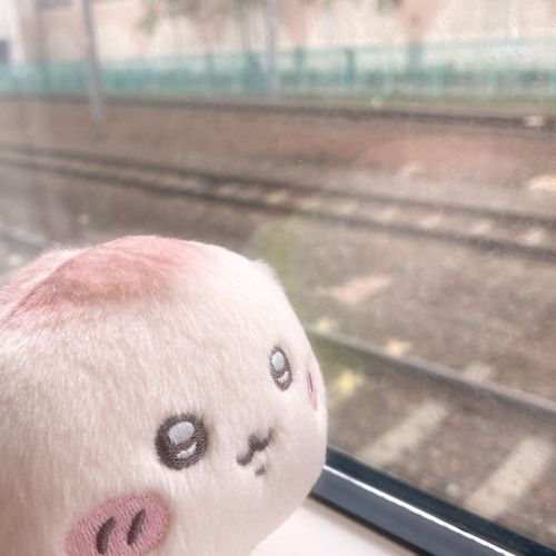 べびちゃんと主の2人旅
開幕ｯｯ！