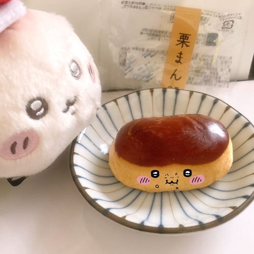 きみも辿ったの？ルーツ