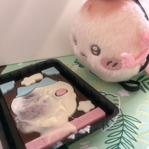 こんなになっちゃった……たはは……🥲
あったかいピザまんと同じ袋に入れたから……

ごめんねハチちゃん…