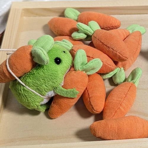 じゅうしゃ が つくった🥕くっしょん
ちぇっく厶🐸