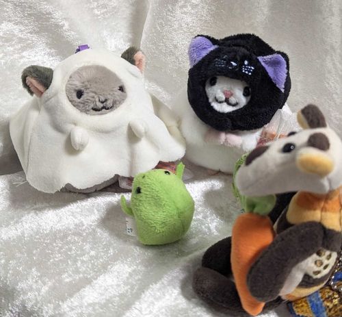 ちんちらさんたち わがやにきた厶
はろいん いしょう いいなー👻