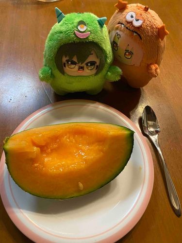 ャ…
ぬしのお兄様が送ってくれたメロンだよ、さぁお食べ
ャｰ…
🌙))(ㅍ_ㅍ）