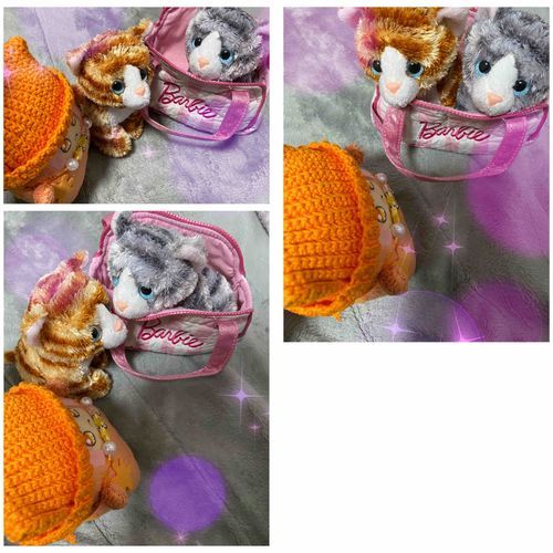 収ミツからトラちゃんずにご説明。

🌙*ﾟ))キジトラちゃん、
茶トラちゃんは暫くおばあちゃんとこに行くです。
お見送りを。

それでは行きましょうか茶トラちゃん…