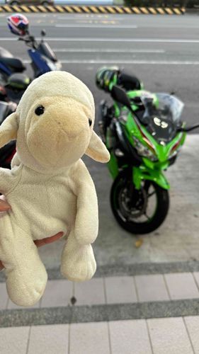 Mom’s Dream 🏍️zx4r