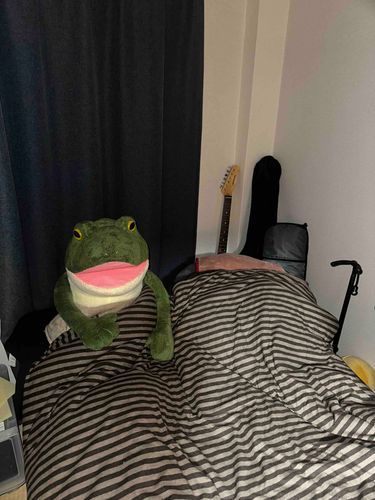 巨みだれです
ベッドをあたためて　まっていますヨ