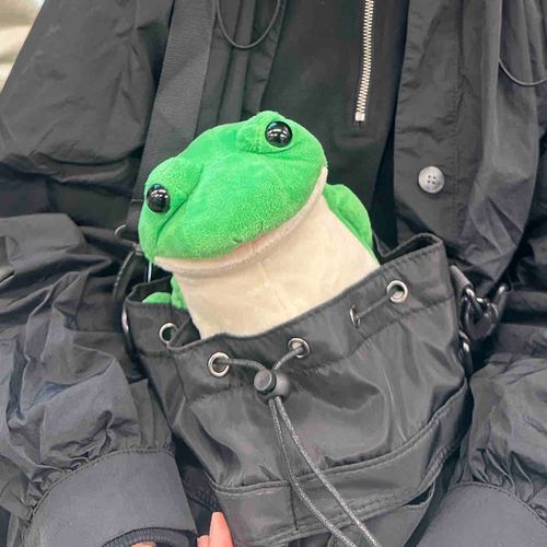 ピノのあたらしいうちゅうせん！
フィットフィット