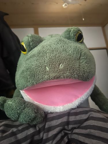 巨みだれですよ
おはようゴざいマス