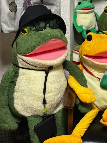 フェスにいきますよｫ