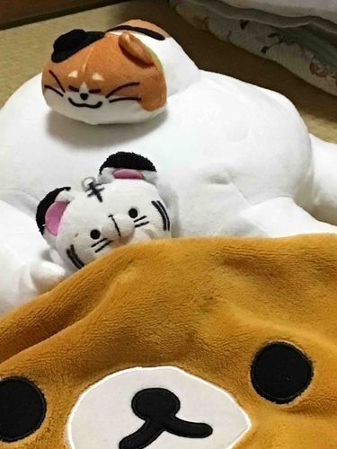 2人でお昼寝!(^_^*)しろくるあったかそ〜(*´∀｀*)