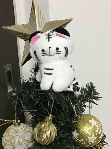 ひさしぶりー
