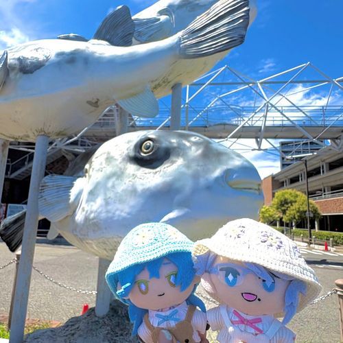 🐙いであさん これは ふぐ というんですよ
💀さすあず