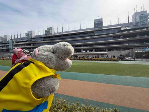 東京競馬場行ってきたかばぁ！
マルガ驚きの白さだったかば🤍