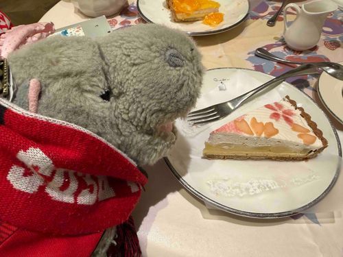 キルフェボンのタルト美味いかばぁ！
黒いちご・ひのしずく・いちごさん・不知火浅見月・なると金時里むすめと胡麻のタルト…全部うまい(*´Д｀*)