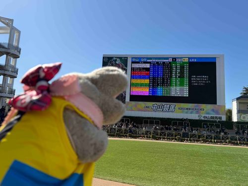 風強いかばぁ…( ´△｀)
ルカランフィーストがんばれー！！